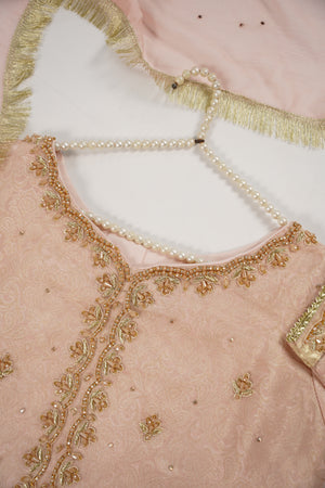 Khaas - Luxury Organza Outfit with chiffon  Dupatta - Ready to Wear SD492