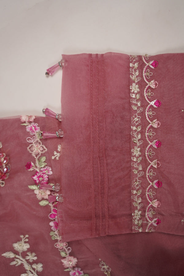 PRE ORDER - Tehwar - Luxury Festive Collection - Ready to Wear - Tehv10d6