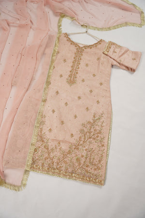 Khaas - Luxury Organza Outfit with chiffon  Dupatta - Ready to Wear SD492