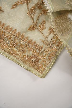 Khaas - Luxury Organza Outfit with chiffon  Dupatta - Ready to Wear SD494