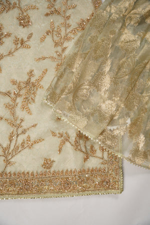 Khaas - Luxury Organza Outfit with chiffon  Dupatta - Ready to Wear SD494