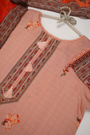 Rozi - Printed Viscose Outfit - Ready to Wear PD134 - SB
