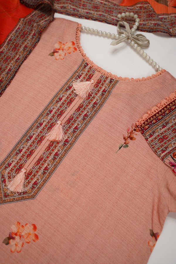 Rozi - Printed Viscose Outfit - Ready to Wear PD134