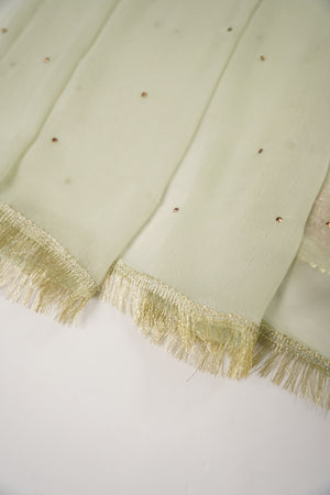 Khaas - Luxury Organza Outfit with chiffon  Dupatta - Ready to Wear SD494