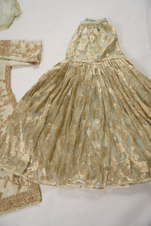 Khaas - Luxury Organza Outfit with chiffon  Dupatta - Ready to Wear SD494