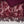 Sajh Dajh Luxury Formals - Kat Dana Heavily Embroidered Net (Long Shirts) - Ready to Wear - V1 - D3