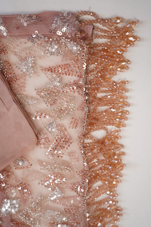 Sajh Dajh Luxury Formals - Kat Dana Heavily Embroidered Net (Long Shirts) - Ready to Wear - V1 - D5
