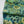 Sajh Dajh Lyra -  Printed Chiffon Maxi - Ready to Wear