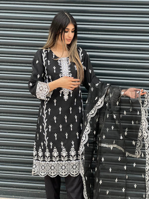 Sajh Dajh MonoChrome - Luxury Organza Ready to Wear Mirror Suit