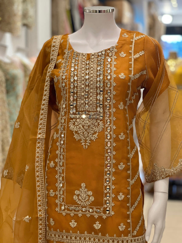 Sajh Dajh Naqsh - Luxury Organza Ready to Wear Mirror Suit