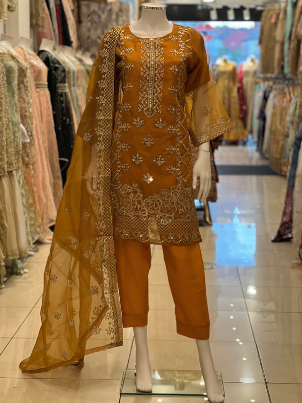 Sajh Dajh Naqsh - Luxury Organza Ready to Wear Mirror Suit - Minor Damaged
