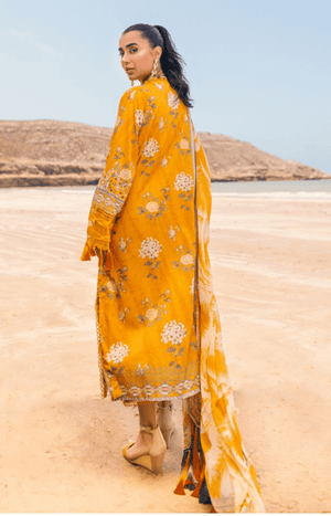Sajh Dajh Nureh - The Luxury Lawn - Summer Collection -D2