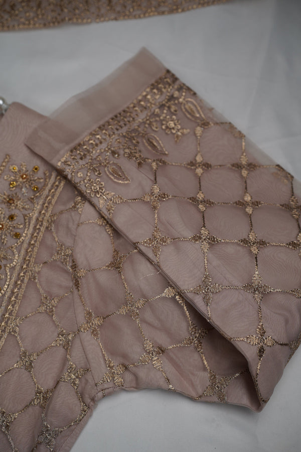 Sajh Dajh Parishy - Organza Embroidered and Handwork Suit - Ready to Wear - Minor Stained