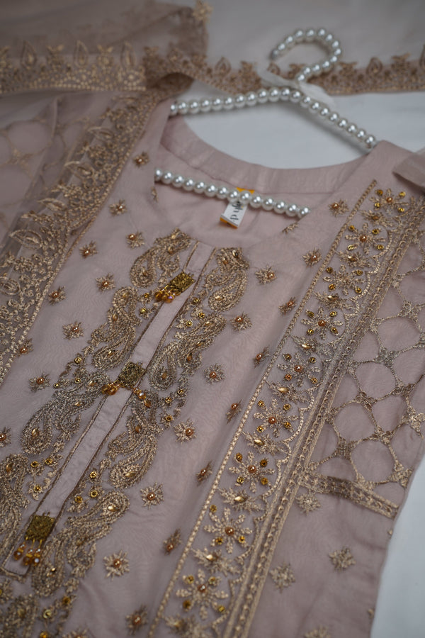 Sajh Dajh Parishy - Organza Embroidered and Handwork Suit - Ready to Wear - Minor Stained