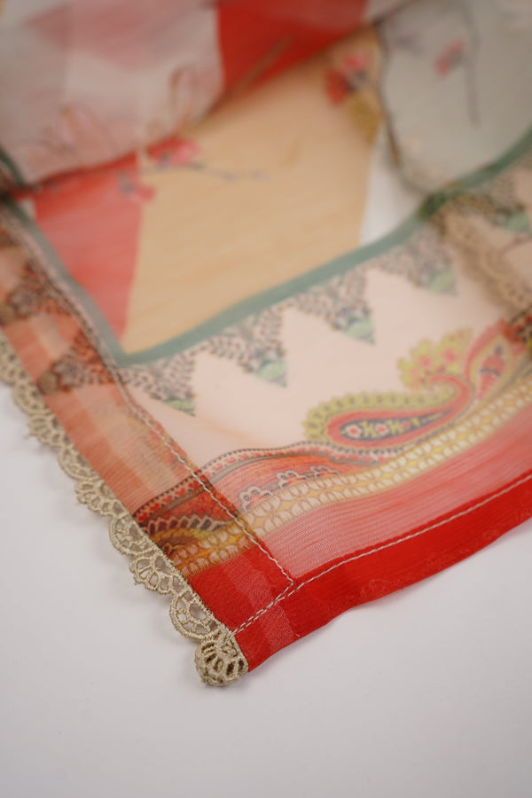 Sajh Dajh Rozi - Premium Khaddar Co Ords with Chiffon Dupatta - Ready to Wear - Winter Collection