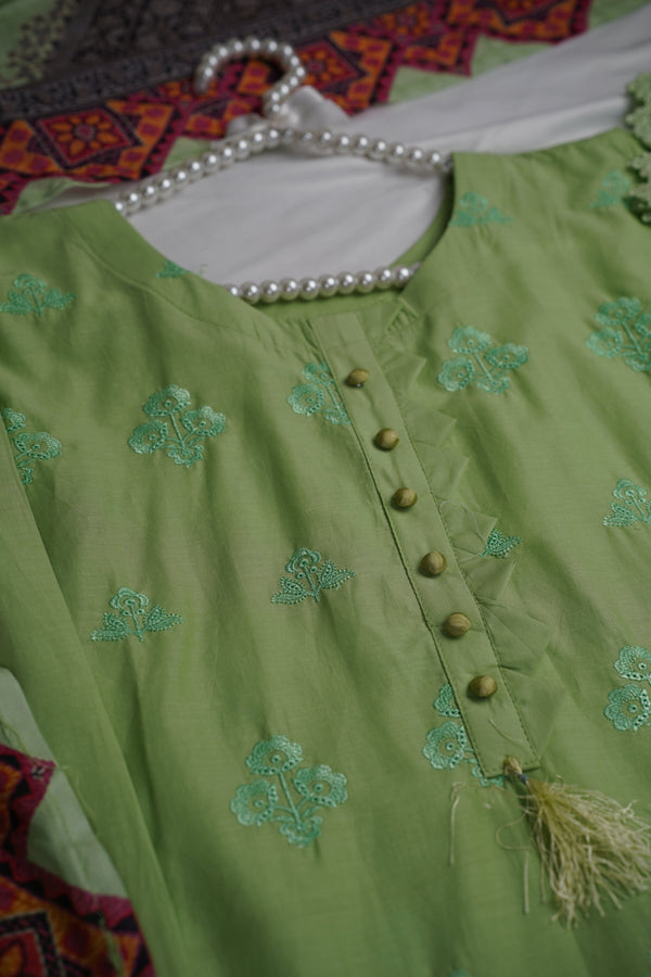 Sajh Dajh Rozi - Ready to Wear - Chikankari Embroidered Lawn with Lawn Dupatta
