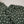 Sajh Dajh S Basics - Georgette Modern Co-Ords (Green) - Ready to Wear