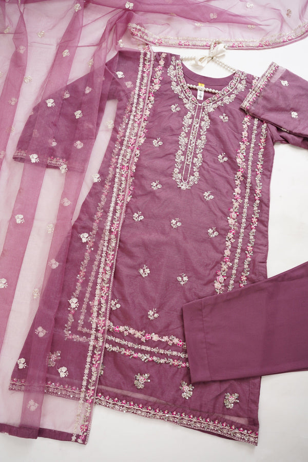 Sajh Dajh Tehwar Basics - Festive Collection - Organza - Ready to Wear