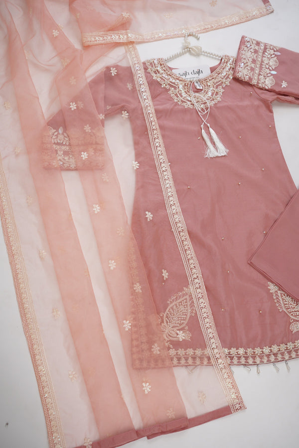 Sajh Dajh Tehwar Basics v1 - Festive Collection - Organza - D1