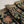 Sajh Dajh Tehwar - Luxury Festive Collection - Ready to Wear - V2 - D3
