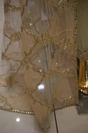 Sajh Dajh Tehwar - V3 - Luxury Festive Collection - Chiffon - Ready to Wear -  D8