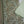 Sajh Dajh Unstitch - Pashmina Dhanak Collection