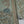 Sajh Dajh Unstitch - Pashmina Dhanak Collection