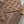 Sajh Dajh Unstitch - Pashmina Dhanak Collection