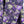 Load image into Gallery viewer, Basics - Pima Cotton - Purple Floral Shirt with Tulip Pants - D2
